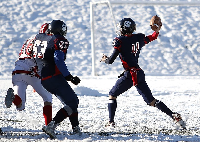 林篮网的比 林篮网的比